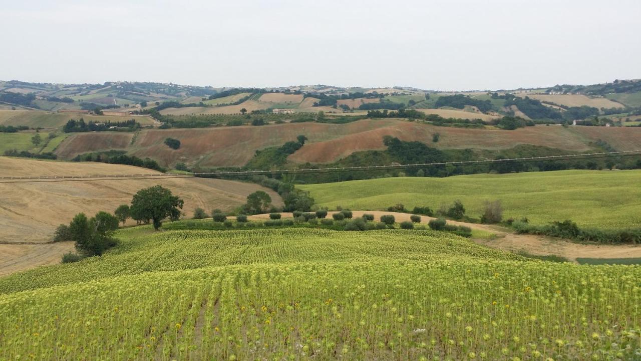 Valle Del Metauro Country House Montemaggiore al Metauro Bagian luar foto